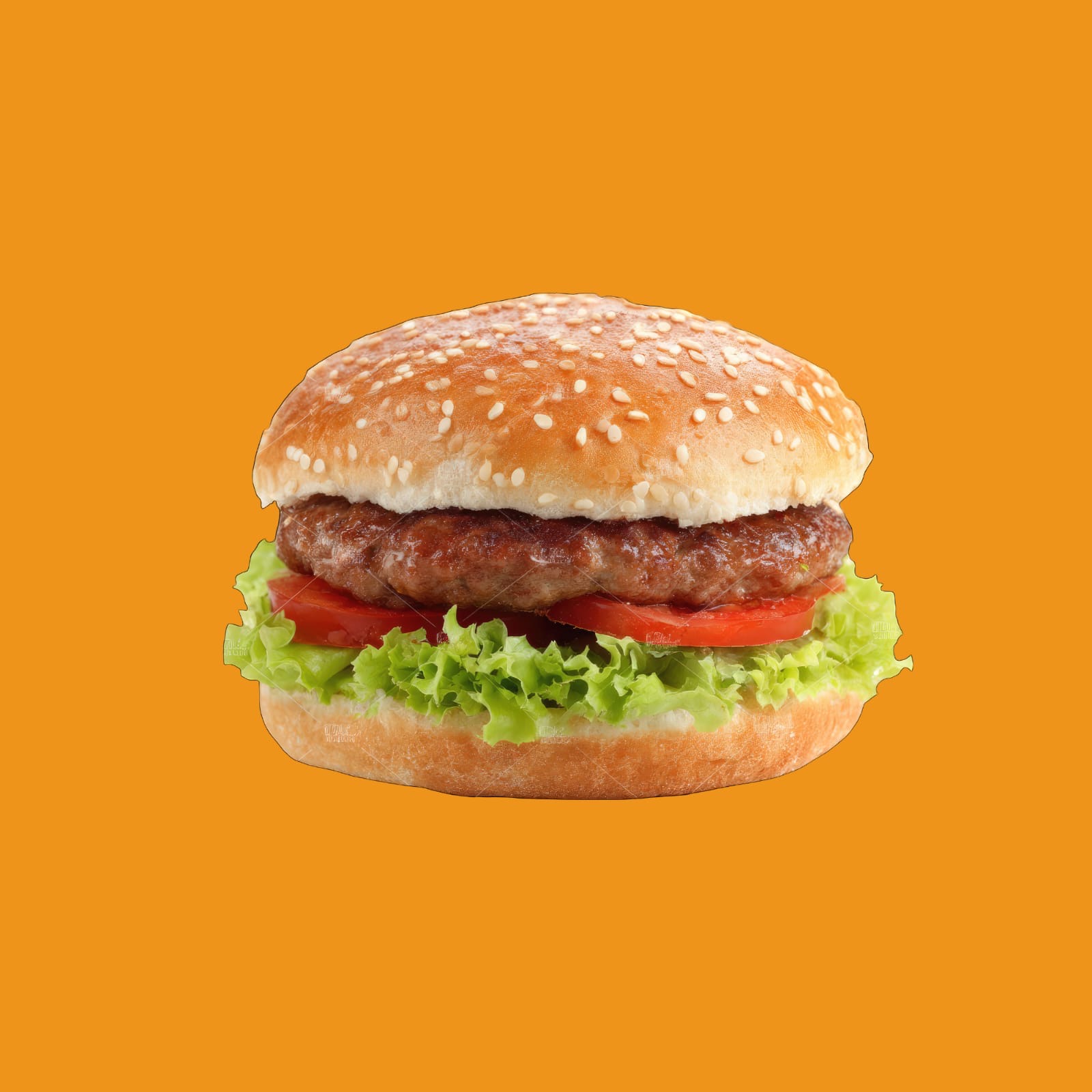Juicy Chapli Burger